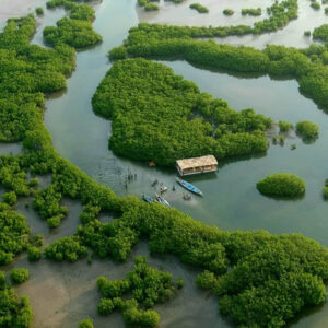 Îles du Saloum