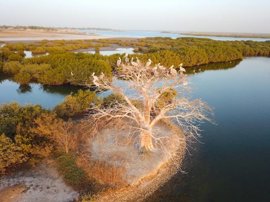 Îles du Saloum