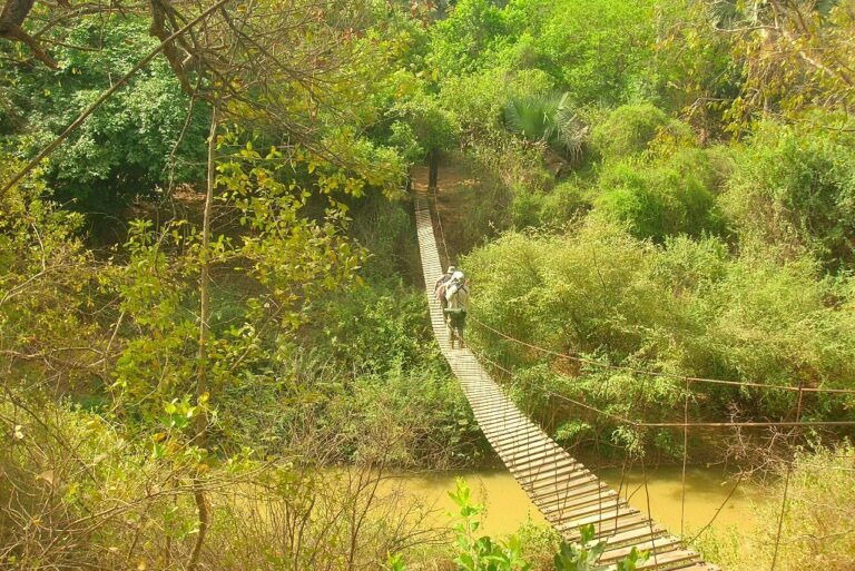 Parc National de Niokolo-Koba