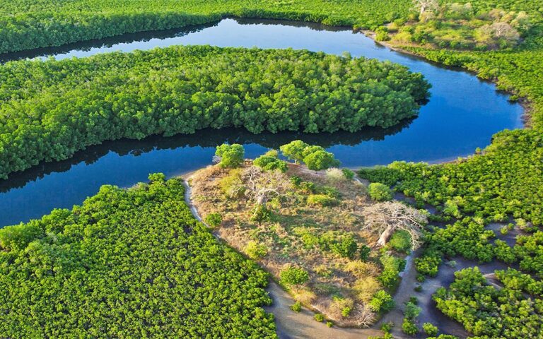 Exploration des Îles du Saloum : Un Paradis Caché