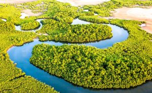 Les Îles du Saloum