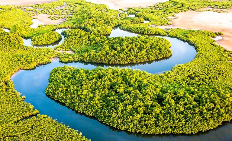 Les Îles Du Saloum - Destinations Sénégal