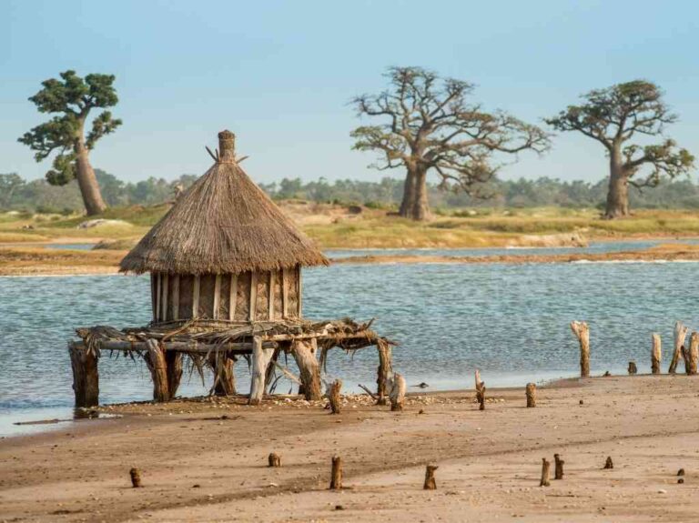 Road Trip le Long de la Petite Côte du Sénégal