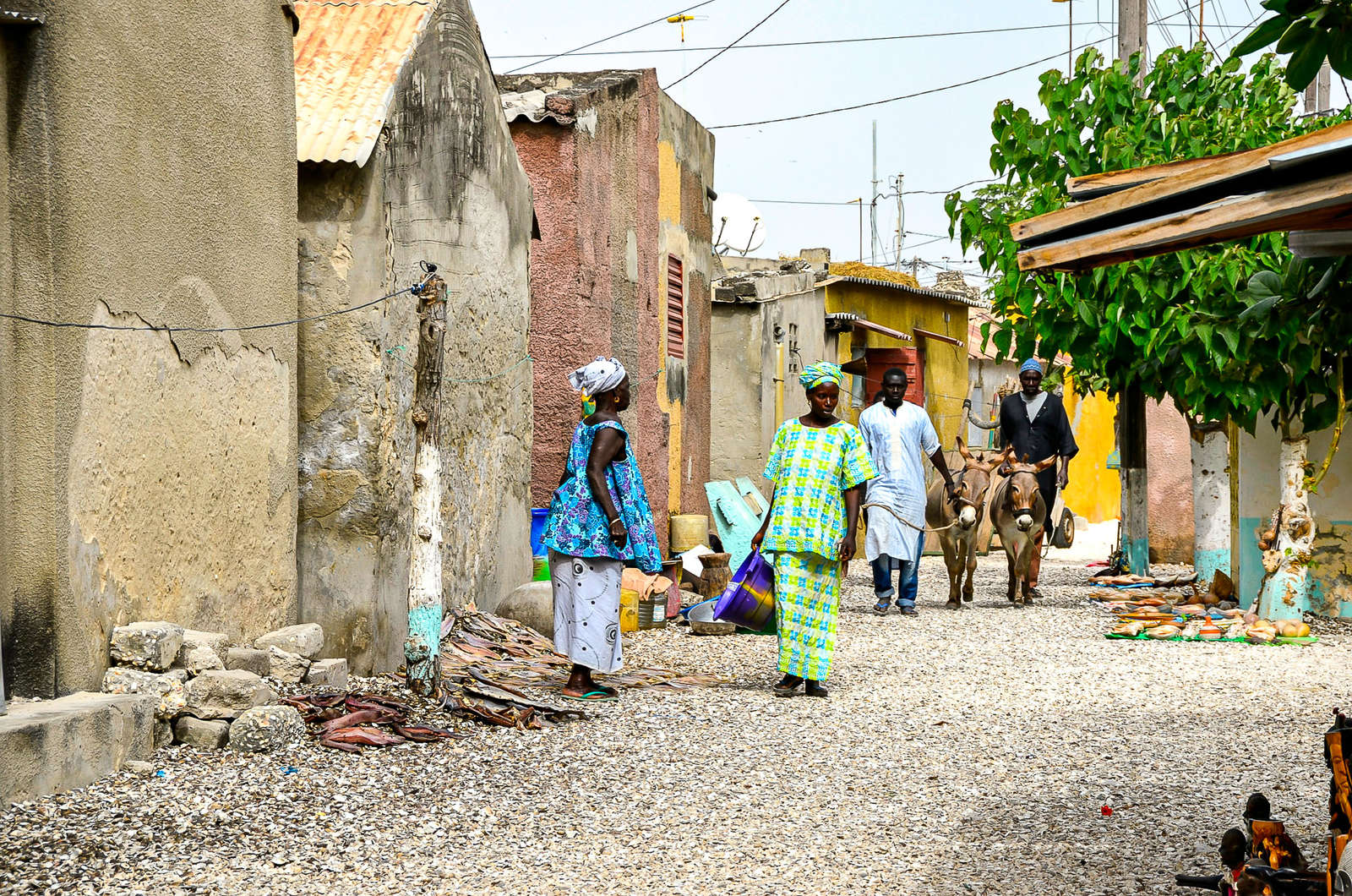 Comment S’immerger dans la Vie Locale Sénégalaise