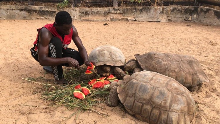 le village des tortues senegal